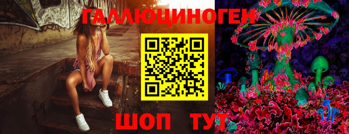 Галлюциногенные грибы GOLDEN TEACHER  Вход с VPN  Усть-Илимск  Псилоцибиновые грибы мицелий 